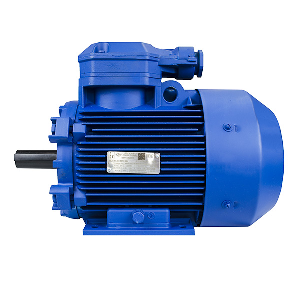 Взрывозащищенные электродвигатели 4ВР