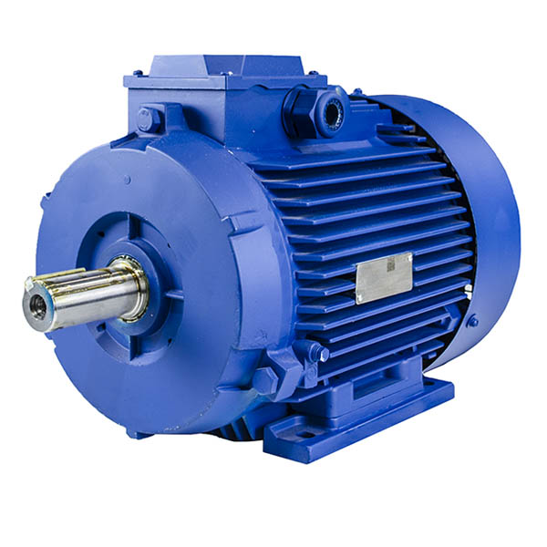 Электродвигатели двухвальные