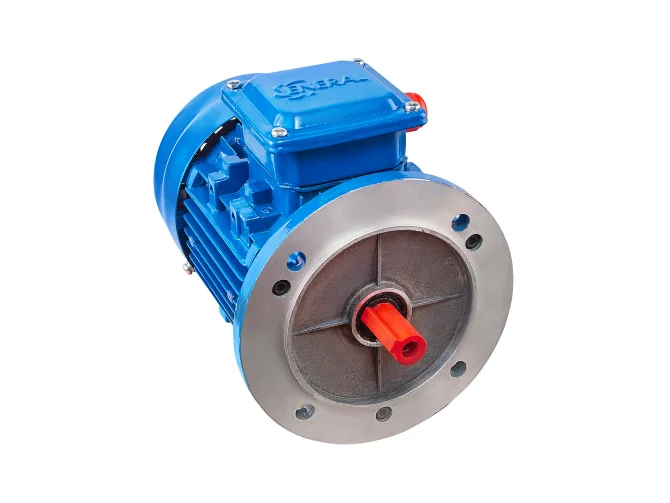 Электродвигатель АИС 160 МB8 асинхронный трехфазный 5.5 кВт 720 об/мин IM2081