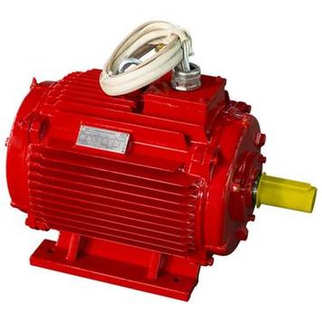 Электродвигатель ESQ-FR 0.75 кВт 1000 об/мин 6 полюсов жаростойкий 400°C IM1081